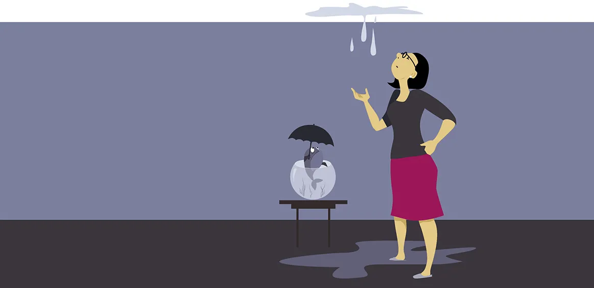 A graphic of a woman with a leak coming through the roof