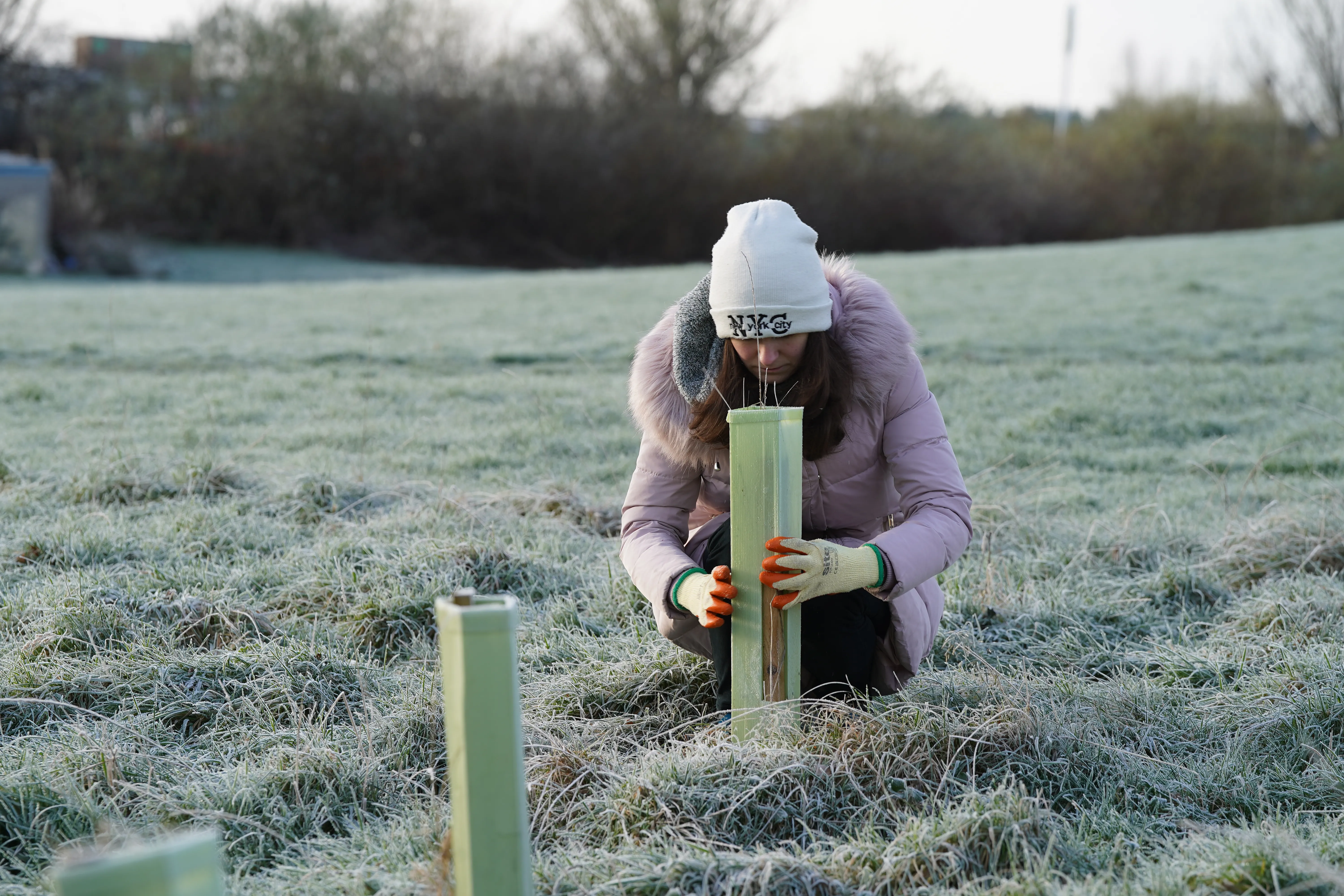 woman in field urban forestry